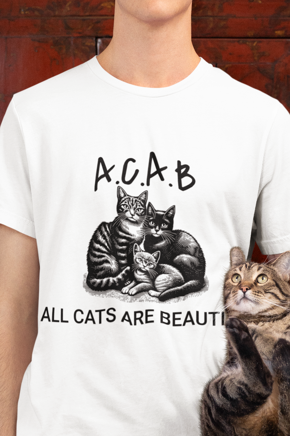 All cats are beautiful T-shirt