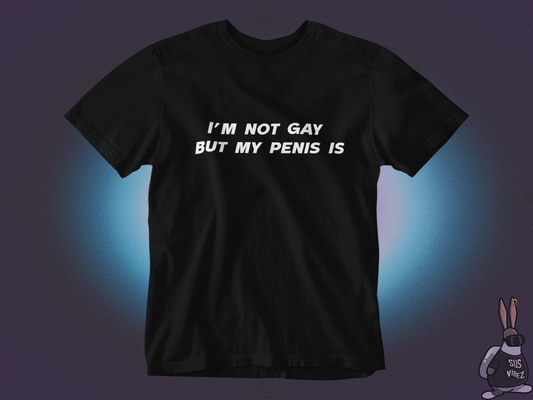 I'm not gay but my penis is T-shirt