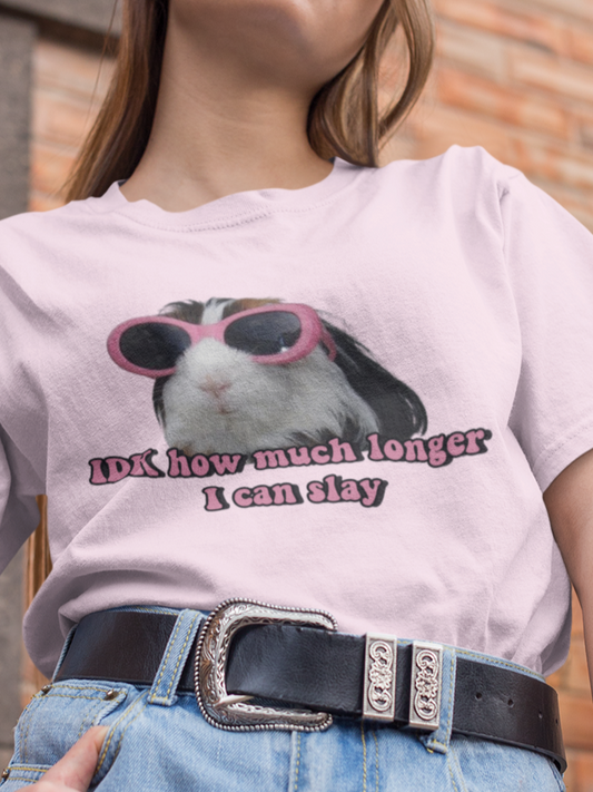 Idk how much longer I can slay T-shirt