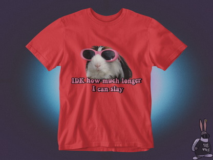 Idk how much longer I can slay T-shirt