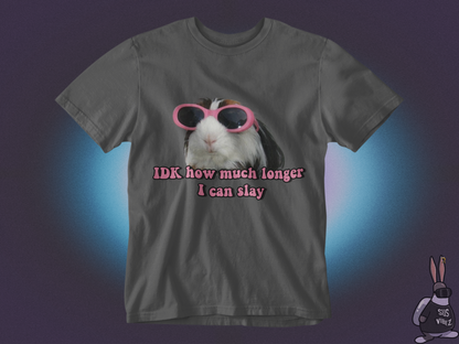 Idk how much longer I can slay T-shirt