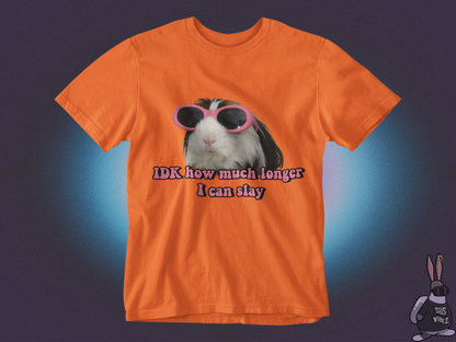 Idk how much longer I can slay T-shirt