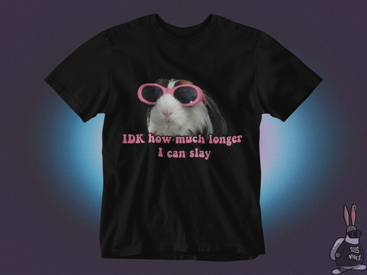 Idk how much longer I can slay T-shirt