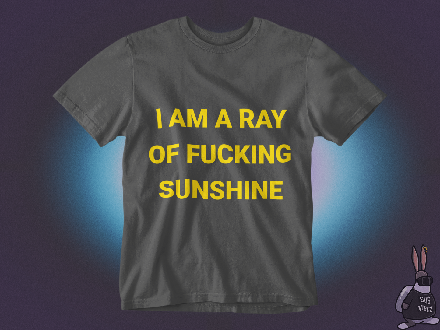 I'm a ray of a fucking sunshine T-shirt