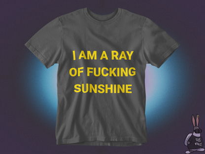 I'm a ray of a fucking sunshine T-shirt