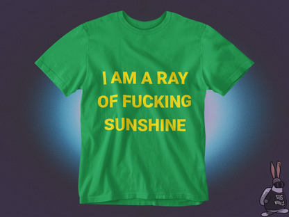 I'm a ray of a fucking sunshine T-shirt