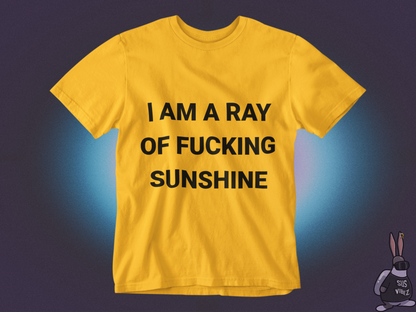 I'm a ray of a fucking sunshine T-shirt