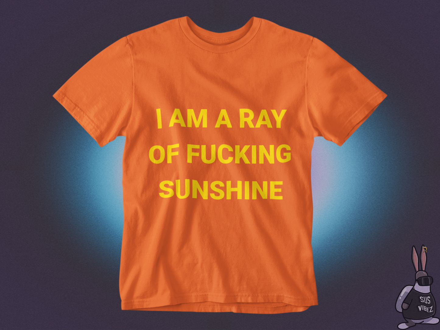 I'm a ray of a fucking sunshine T-shirt