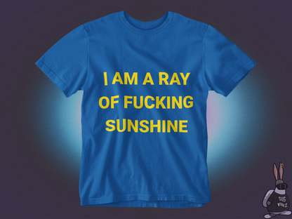 I'm a ray of a fucking sunshine T-shirt